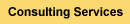 Consulting Services